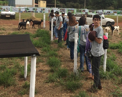 Estande IZ - 20 alunos do Projeto Jovem Agricultor do Futuro da Faesp/Senar ficaram surpresos e muito interessados em conhecer o sistema de produção de ovinos do IZ na Agrishow 2017 - foto Lisley Silvério