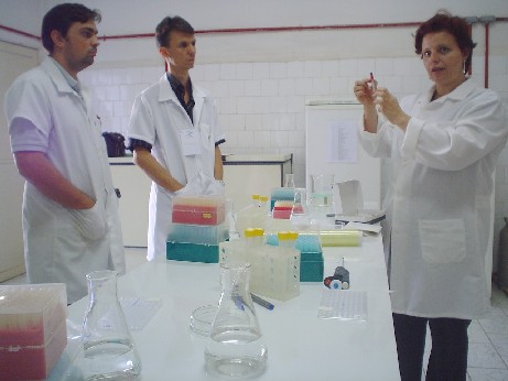 Minicurso Elisa - IZ